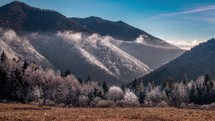 Hilly forest landscape. The trees in the forest are frosted by the cold air. Timelapse