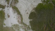 aerial view over green grass along a shore 