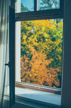 view of fall trees through an opened window 