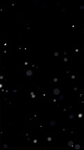 Peaceful Snow snowing on black background, Vertical video

