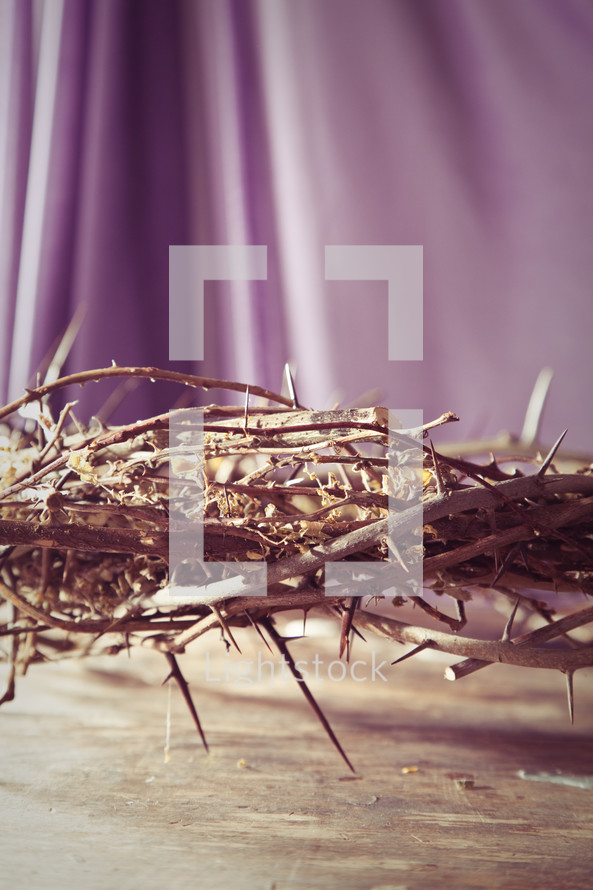 Crown of thorns with purple drape.