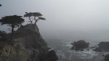 The Lone Cypress Stands Alone on Misty Coastline of Scenic 17-Mile Drive Pebble Beach at Carmel By The Sea and Big Sur - a Rugged Stretch of California Central Coast