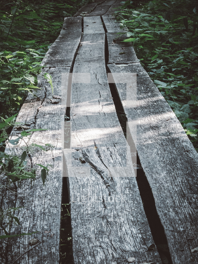 a rustic wood board path through a forest 