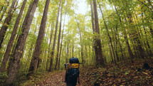 backpacking in a forest 