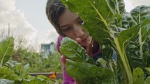 Young girl working in an organic vegetable garden