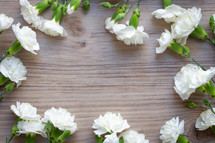 white carnation border on wood background 