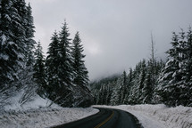 road line by snow and trees