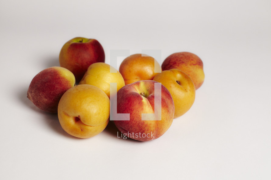 A grouping of peaches and apricots on seamless white