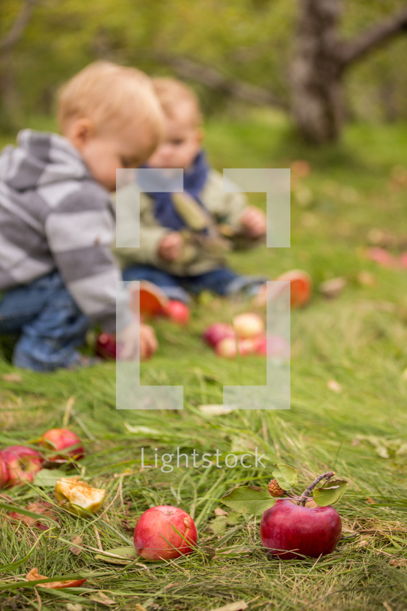 toddlers playing with apples in the grass 