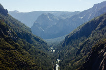 mountain evergreen forest and river 