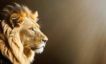 Generative AI image of a Majestic Lion in the Sun