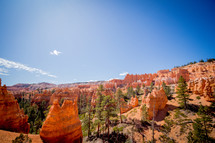 red rock formations in a canyon 
