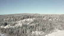 Aerial shot flying over a snow covered mountain with trees to reveal a snowy landscape