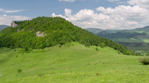 Sheep moving fast and feeding green pasture in carpathian mountains meadow in sunny summer nature Time lapse
