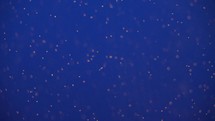 Deep Dark Blue Sea Ocean Water Background with Yellow Dust of Dots