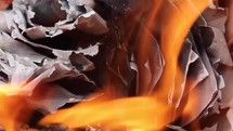 Closeup of Burning Book Pages - Dramatic Footage for Storytelling