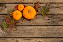 pumpkins and acorns on a wood background 