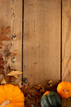 pumpkins and gourds on a wood background 