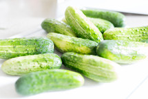 cucumbers 