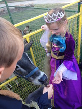 Children at a petting zoo during a fall festival 