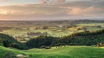 Panoramic view of rural natural scenery of New Zealand at golden light of sunny summer evening Time lapse
