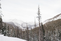 winter mountains 