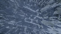 aerial view over a winter forest 