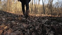a person walking through fall leaves 