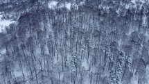 Snow in the winter forest aerial