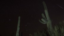 Timelapse of stars beyond giant Saguaro cactus