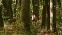 man riding a bike in a forest 