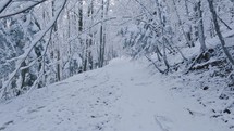 Walk in winter forest trail with frozen snowy trees in cold nature
