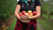 Blue haired girl picked up a lot of ripe red apple fruits from tree in green garden. Organic lifestyle, agriculture, gardener occupation. High quality FullHD footage