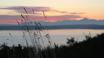 tall grasses blowing in a breeze and a lake at sunset 