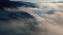 Mystic clouds motion in forest nature, fly above foggy morning landscape Aerial view 4K
