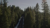 aerial view over a winer forest and road with snow 