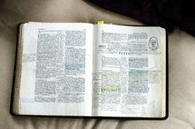 handwritten notes on pages of a Bible opened to Peter