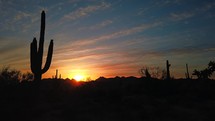 Colorful sunset in southwest desert with saguaro cactus
