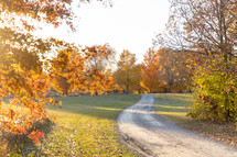Orange and yellow autumn trees with path