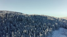 Aerial shot flying over a snow covered mountain with trees to reveal a snowy landscape