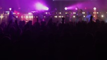 jumping audience during a concert 