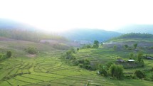 Terraced rice fields in Asia, sustainable farming green nature, traditional asian agriculture, rice terraces at sunset. High quality 4k footage