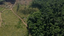 Aerial footage of trees and state forest