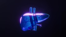 Loop animation of liver with dark neon light effect, 3d rendering.
