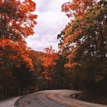 road through a fall forest 