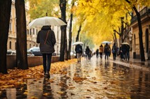 Individuals strolling under umbrellas amidst a gentle autumn rain