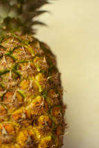 Pineapple fruit.