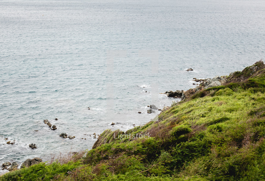grassy cliff along a shore 