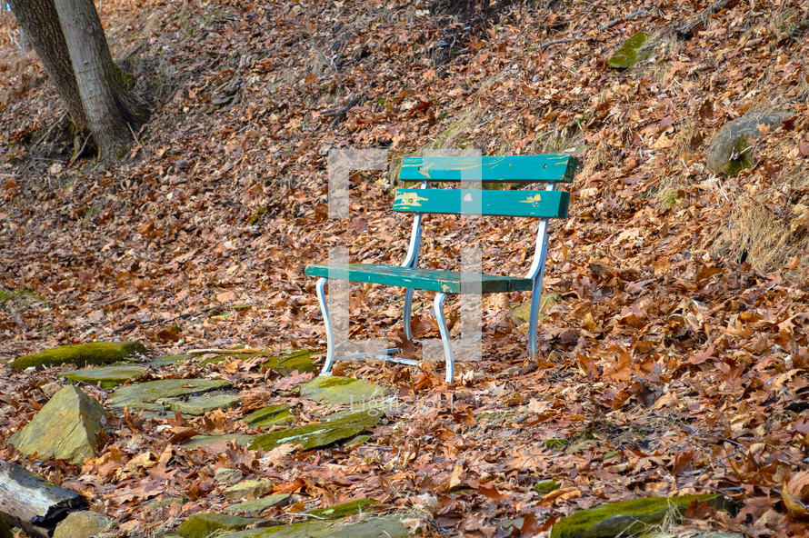 bench in a winter forest 