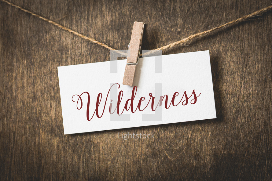 wilderness 